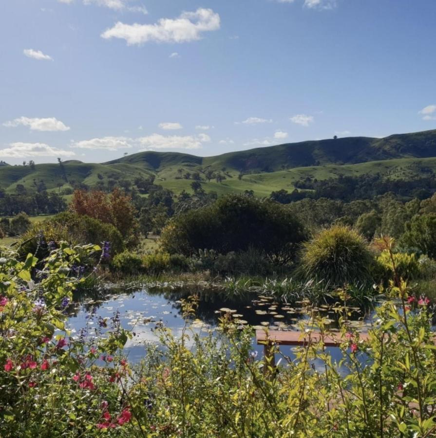 Strawbale Cottage - Wingspread Garden Strath Creek Esterno foto